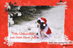 034_magali_frank_fleurange_fetes_noel