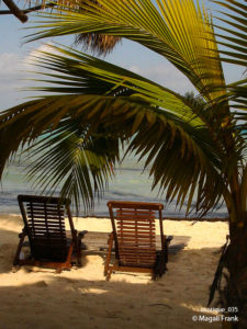 035_magali_frank_fleurange_exotique