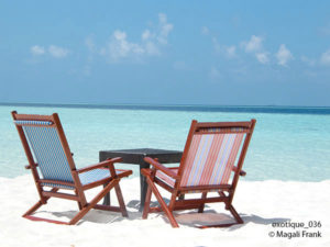 036_magali_frank_fleurange_exotique