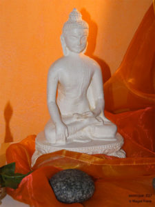 037_magali_frank_fleurange_exotique