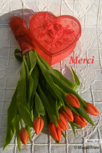 037_magali_frank_fleurange_fetes