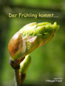 037_magali_frank_fleurange_nature