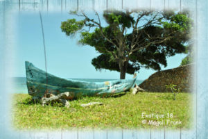 038_magali_frank_fleurange_-exotique