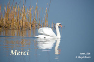 038_magali_frank_fleurange_fetes