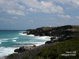 038_magali_frank_fleurange_nature