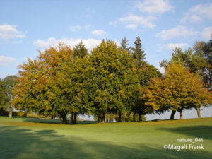 041_magali_frank_fleurange_nature