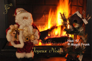 042_magali_frank_fleurange_fetes_noel