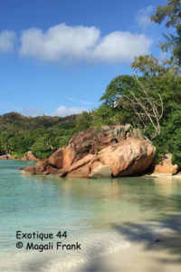 044_magali_frank_fleurange_exotique