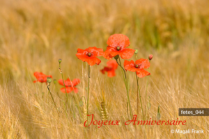 044_magali_frank_fleurange_fetes