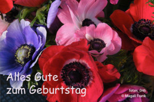 046_magali_frank_fleurange_fetes