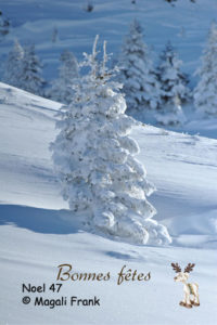 047_magali_frank_fleurange_fetes_noel