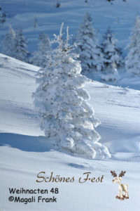 048_magali_frank_fleurange_fetes_noel