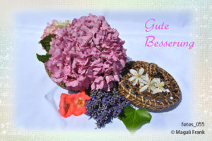 055_magali_frank_fleurange_fetes