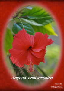 058_magali_frank_fleurange_fetes