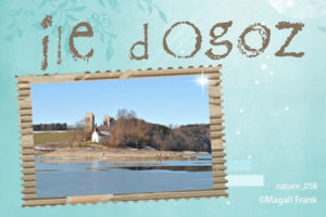 058_magali_frank_fleurange_nature