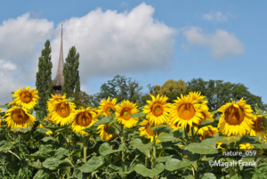 059_magali_frank_fleurange_nature