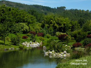 060_magali_frank_fleurange_nature