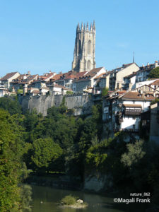 062_magali_frank_fleurange_nature