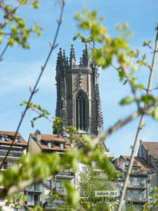 063_magali_frank_fleurange_nature