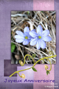 064_magali_frank_fleurange_fetes