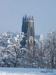 064_magali_frank_fleurange_nature