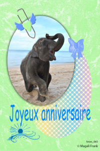 065_magali_frank_fleurange_fetes