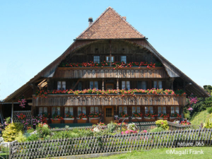 065_magali_frank_fleurange_nature