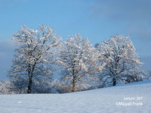 067_magali_frank_fleurange_nature