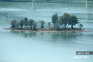 069_magali_frank_fleurange_nature