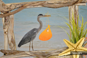 072_magali_frank_fleurange_fetes