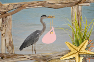 073._magali_frank_fleurange_fetespng