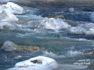 073_magali_frank_fleurange_nature