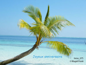 075_magali_frank_fleurange_fetes