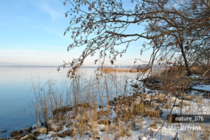 076_magali_frank_fleurange_nature