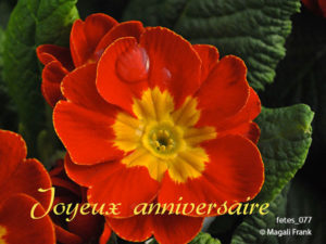 077_magali_frank_fleurange_fetes