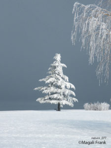 077_magali_frank_fleurange_nature