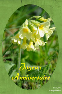 078_magali_frank_fleurange_fetes