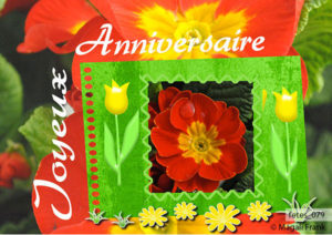 079_magali_frank_fleurange_fetes