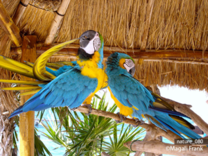 080_magali_frank_fleurange_nature