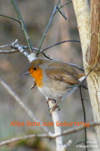 081_magali_frank_fleurange_fetes