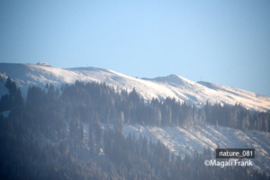 081_magali_frank_fleurange_nature