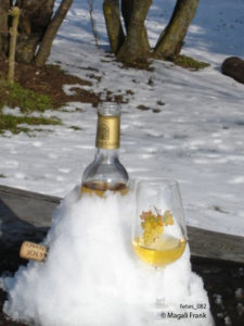 082_magali_frank_fleurange_fetes