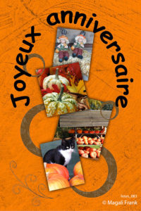 083_magali_frank_fleurange_fetes