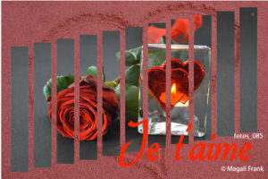 085_magali_frank_fleurange_fetes