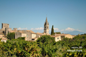 085_magali_frank_fleurange_nature