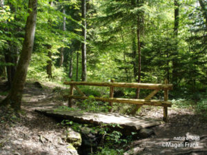 088_magali_frank_fleurange_nature