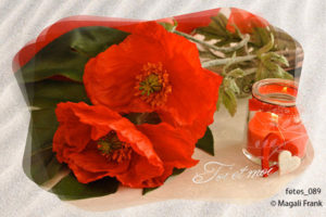 089_magali_frank_fleurange_fetes