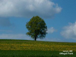 089_magali_frank_fleurange_nature