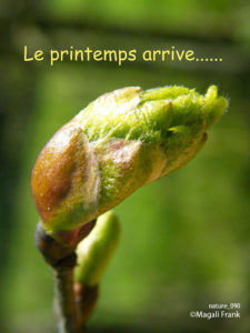 090_magali_frank_fleurange_nature