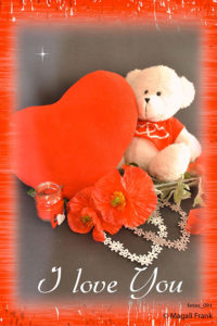 091_magali_frank_fleurange_fetes